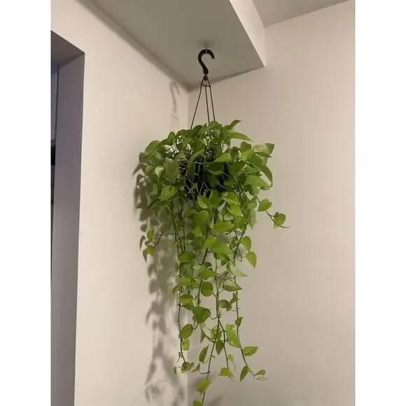 Adhesive Wall Hooks 13LB Heavy Duty No Drill Transparent Waterproof Hooks - Picture 2 of 12